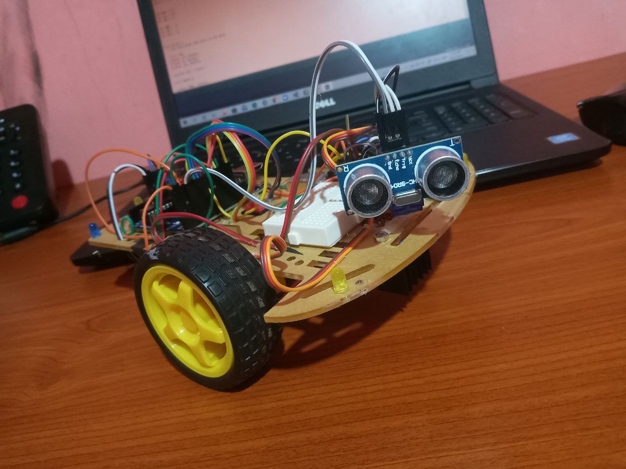 Arduino Robot Pet Project